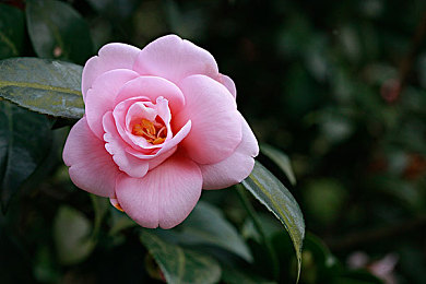 18大禁止软件:净化赛道,虚拟竞速世界惊现违规改装风波-3