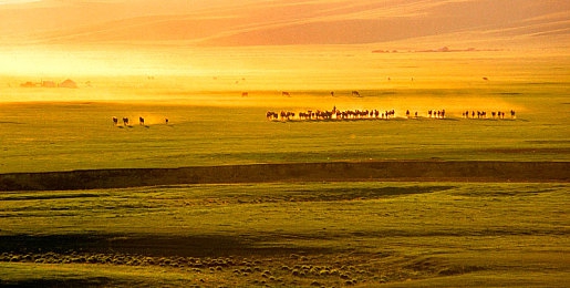 男女差差差差差差：极速对决革新竞速体验，性别驾驶差异化身深度策略玩法