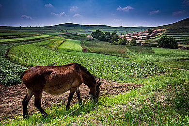 男生鸡鸡差女生软件：极速性别差版本更新在即，雨天赛道平衡性调整引发玩家热议-2