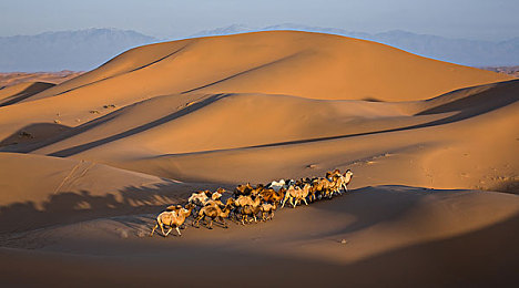 软件下载3.0.3免费OPPO版破解大全苹果,可以下载：极速狂飙，征服传奇赛道，体验巅峰驾驶之旅-2