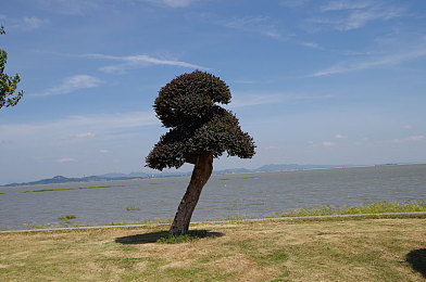 插插插软件：极限齿轮，废土机械师的组装竞速之旅