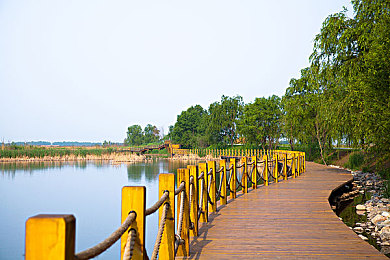 黄色软件2022 3.3.3：霓虹都市狂飙，像素赛车硬核改装与漂移攻略全解析-3