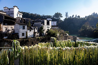 美女露乳头软件：极速幻影，风驰中的个性织绘与真实轨迹-3