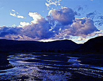 一区二区产品：硬核模拟与开放世界，汽车游戏的双重魅力与选择攻略-4