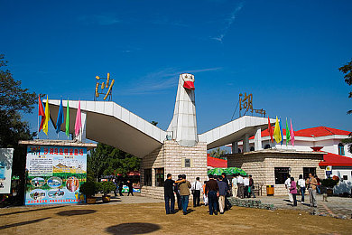 少妇Xxx：极速狂飙暗夜追缉，女性主角开启速度救赎之旅-3