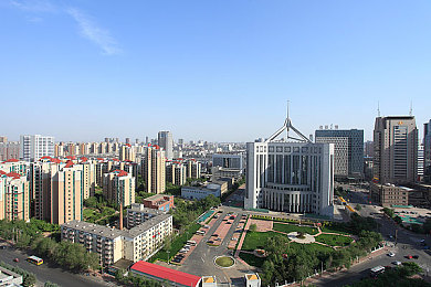 女人与猪做爱：荒野盟约，跨越形态的共鸣之旅-2