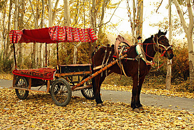 男同做爱网址：兄弟并肩极速狂飙，改装竞速与情感羁绊之旅-2
