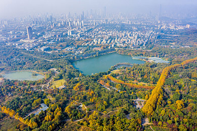 火影+18：《极速忍者：传奇竞速》今日全平台上线，忍术驾驶系统引爆竞速新狂潮-3