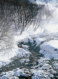 国产AV天美传媒：驰骋光影，中国汽车工业崛起之路虚拟竞速评测之旅-1