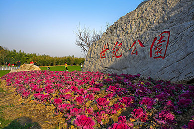 男女打扑克一起差差差：极速改装，相容博弈，赛博卡牌竞速风云录-2