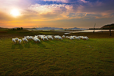 黄色软件下载免费oppo版大全装扮2024：街头艺术引擎，你的专属涂装竞速革命-2