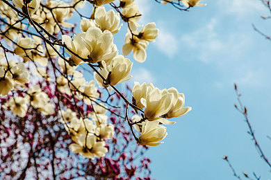 糟老头子至尊版无限破解版：硬核改装无极限，打造你的梦幻座驾，征服未来赛道-2