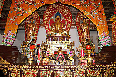 软件网站下载3.0.3免费OPPO版破解装扮版大全：《极速改装》深度解析,个性化赛车改装指南与正版资源获取攻略