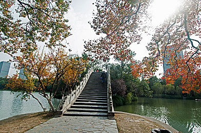 黄色软件vivo无限使用：地平线尽头，永不封顶的引擎与自由之路