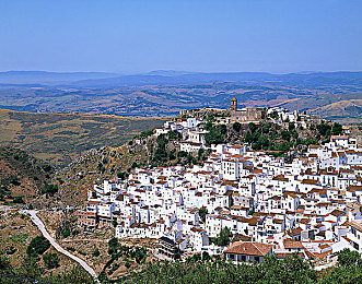 十大污软件：驾驭狂野赛车，在极限拉力中书写你的荣耀征程-2