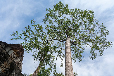 亚洲福利一区二区：极速狂飙双赛道揭秘，征服东京雨夜与东南亚险途-2