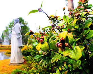 华为3.0.3.0破解安装每天无限:模组解锁地平线,无限资源重塑竞速自由新体验-2