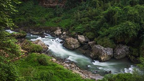 黄色看逼：极限竞速新战术解析，色彩警示成为赛道决胜关键-5