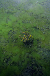 打扑克又疼又痛：极速狂飙与策略交锋，卡牌赛道上的双重博弈-3