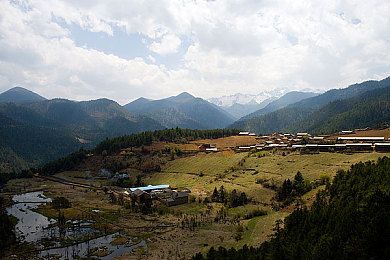 03AV：极品飞车经典重启，地下狂飙改装美学再现速度哲学