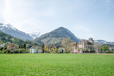 tiktok色板2.4.2：极速调色师，赛道上的动态色彩交响诗-2