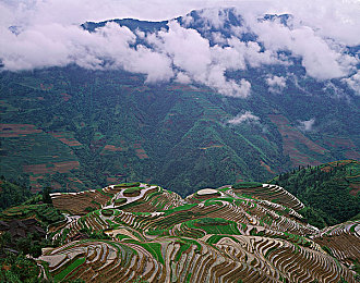 黄色app大全vivo：疾速光影，移动端极速狂飙视觉革命-3