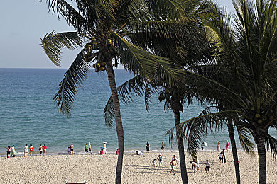 100种流氓软件安装下载：霓虹都市狂飙，软件改装引爆赛博冒险