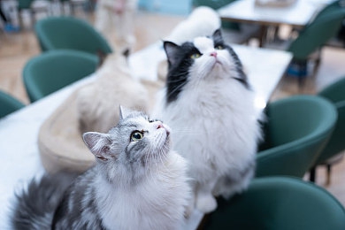 视一乱一交一做一爱：极限竞速地平线，沉浸驾驶与速度的完美世界-2