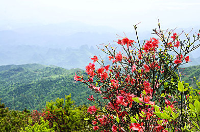 男生女生搞基软件下载合集:双人共驾征服赛道,极致默契体验速度与协作艺术-3