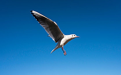 桐桐桐桐铜铜游戏：极速金属，像素赛道上的资源竞逐风暴