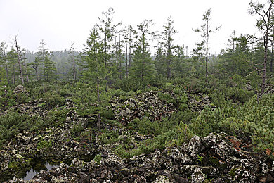 在线a天堂：墨西哥画卷上的极速诗篇，地平线中的驾驶圣殿-2