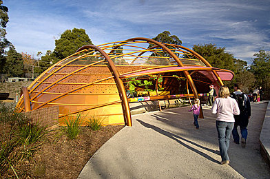 黄色软件无限次vivo免费安装下载：街头竞速传奇上线，深度改装系统引爆移动竞速新体验-3