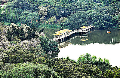 国产av成人电影:国产跑车竞速新作发布,极致视听与深度改装引爆虚拟赛道-4