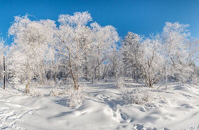 福建APP导航中心：驾驭山海赛道，探索闽地风情的极限竞速新篇章-2