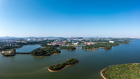 黄色软件3.0在线观看：街头狂飙，非法改装与午夜追缉的极限艺术-2