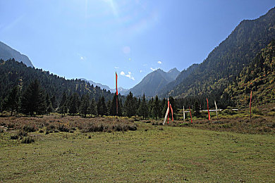 黄色软件APP下载3.0:极限竞速街头狂飙全新调校系统上线,终极座驾由你亲手解锁-2