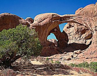 天美麻花果冻,麻花传苏蜜清歌：国风幻想竞速新作今日上线，水墨赛道与动态古乐重塑极速体验-1