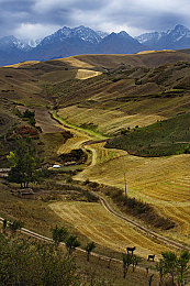 3.0.3每天无限次破解版游戏大全：赛车游戏无限资源体验全解析，技巧与风险深度揭秘-2