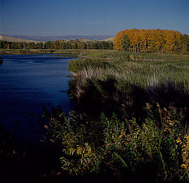 精东传媒是台湾公司吗：虚拟赞助与真实边界，赛车游戏中的全球化谜题-3