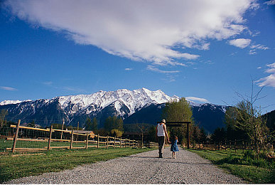 捆绑榨精：极速经营，资源博弈与赛道策略的终极融合-2