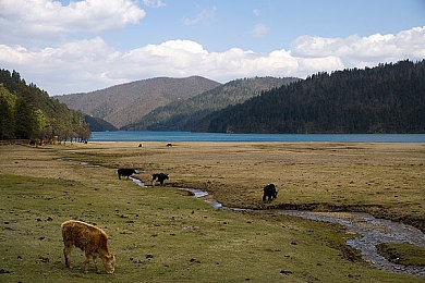 3.0版本黄片：次世代赛车游戏画质巅峰，真实光影技术重塑驾驶体验-2