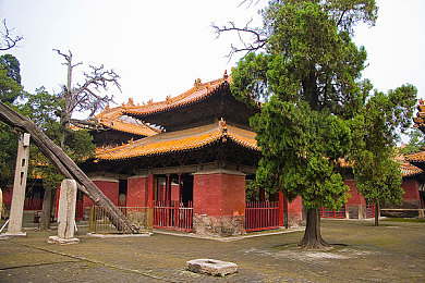 黄台404搜狐污染网站：数据废土狂飙，清道夫求生启示录