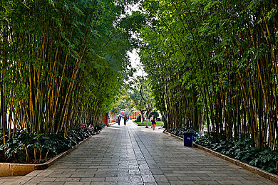 火影+18：《极速忍者：传奇竞速》今日全平台上线，忍术驾驶系统引爆竞速新狂潮-4