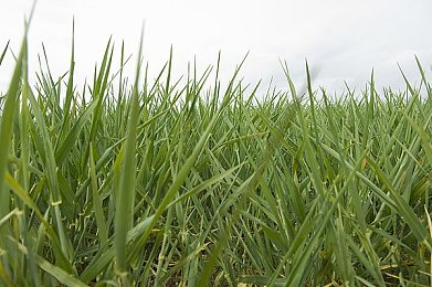 打扑克又叫又疼的视频软件:极速牌局,策略狂飙与命运竞速的视觉盛宴-4