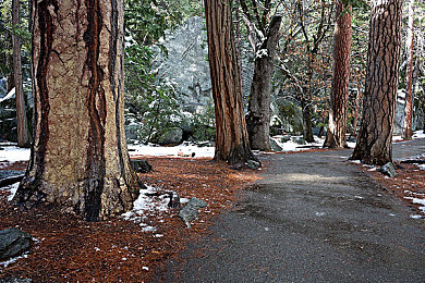 JULIA疯狂高潮突破极限：霓虹幻影中，悬浮战车的未来竞速诗篇-4