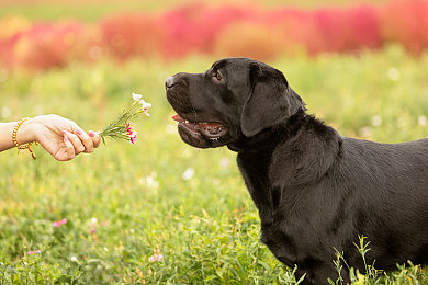 两人打扑克又痛又叫：街头车手策略对决，卡牌驱动极速狂飙今日正式上线
