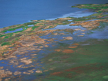 OPPO手机黄色软件下载：驾驭黄色闪电，极限竞速街头狂飙登陆移动端，攻略与评测全解析-3