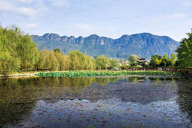 黄色303：赛博朋克竞速新作发布，人车合一体验颠覆传统驾驶-4