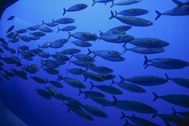 中国成人AV：霓虹夜幕下的龙华市，街头极速与命运狂飙-3