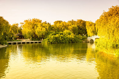 中国十大污软件：极速污痕公平竞技指南，揭秘违规改装与应对策略-2